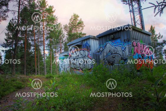 Forest graffiti