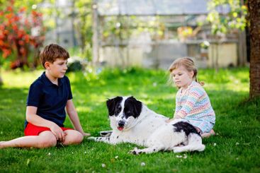 School kid boy and little toddler girl playing with...