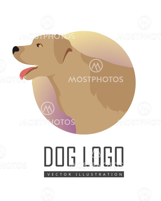 Golden Retriever Dog Logo on White Background