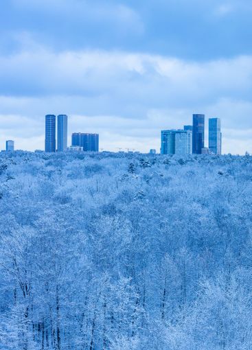 snowy city park and skyscraper in blue winter dusk