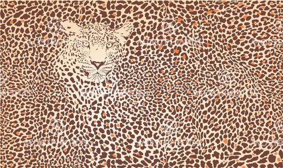 Pattern background leopard