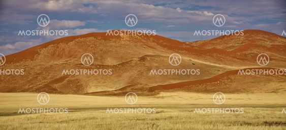 big orange dune at Sossusvlei Namib Naukluft Park