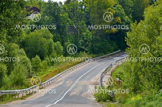 Road through wood