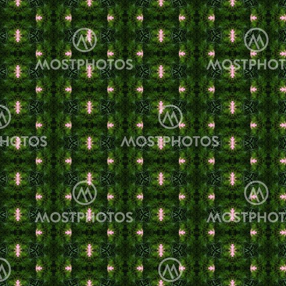 Christmas tree background