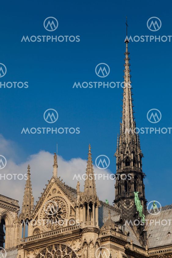 Cathedral of Notre Dame, Paris, Ile de France, France