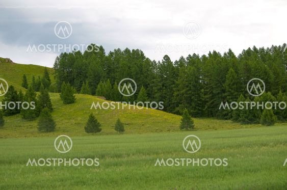 landscape of mountains of a taiga on hills