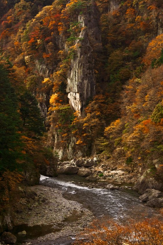 Nikko