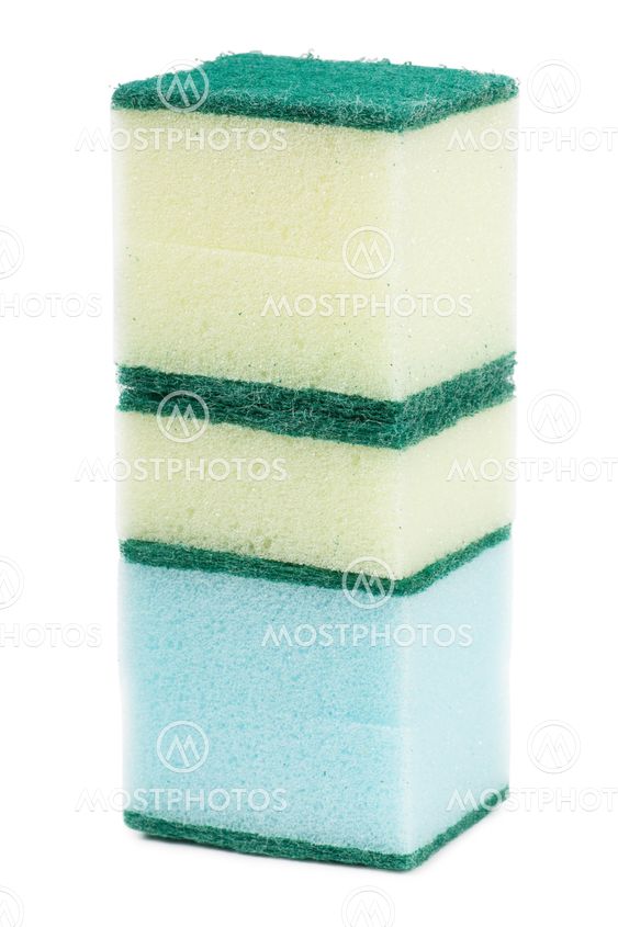 Sponges