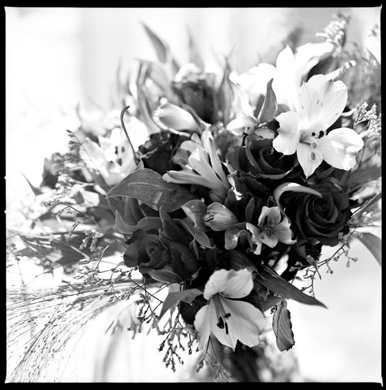 bouquet