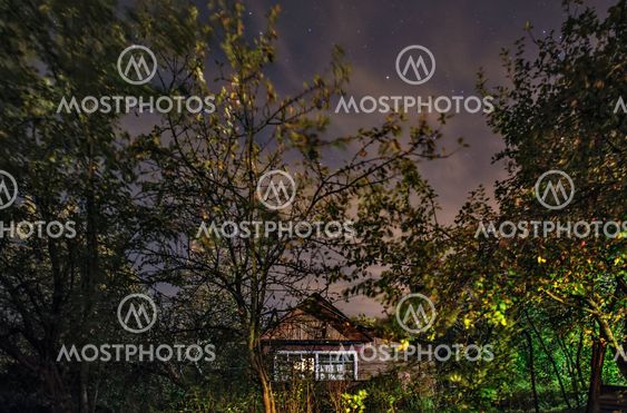 Small hut in the forest
