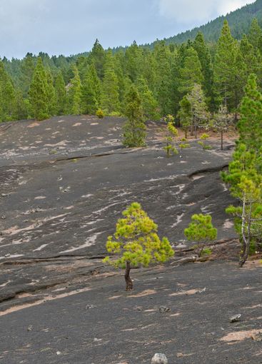 Ash, nature and volcanic terrain of mountain outdoor on...