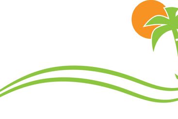 palm tree and sun, travel, tourism, background