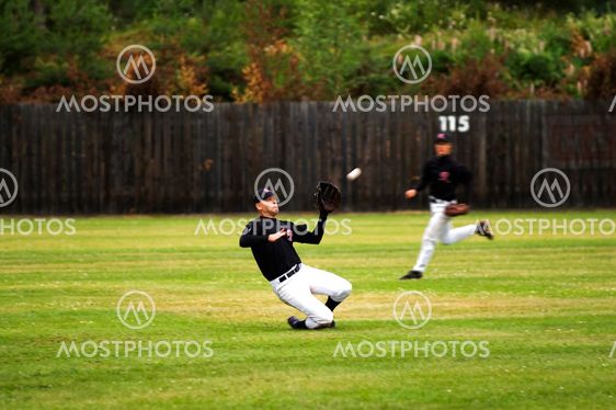 Flyball