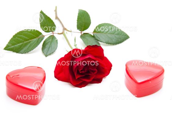Røde Rose rød hjerte