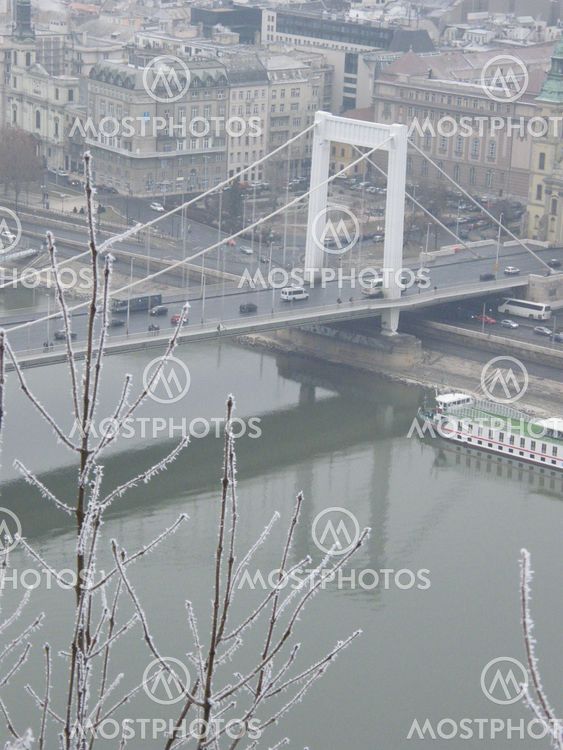 Elizabeth Bridge, Budapest