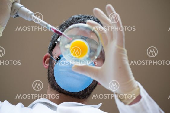 Scientist working
