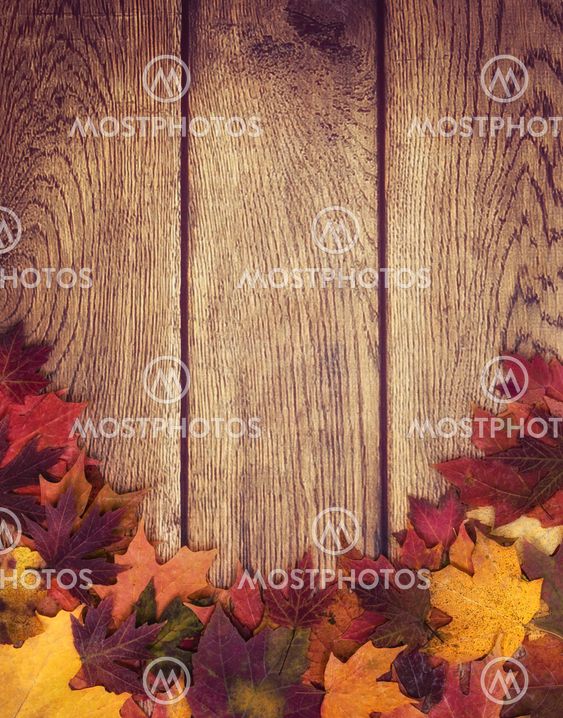 Autumn leaves border against wood background