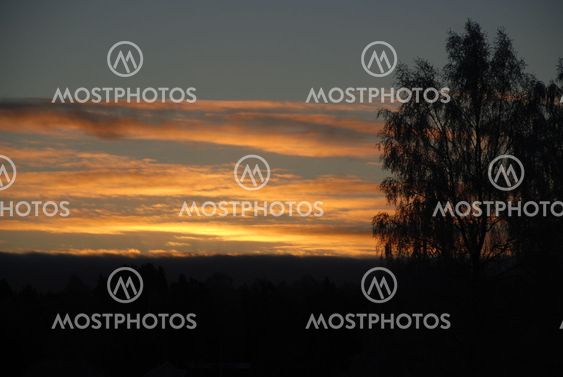 Soluppgång i novembermörker Nr 1 (Sweden)