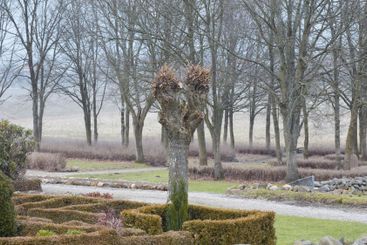 Trees, countryside or landscaping outdoor in nature with...