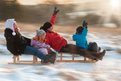 Family racing downhill with sledges in winter