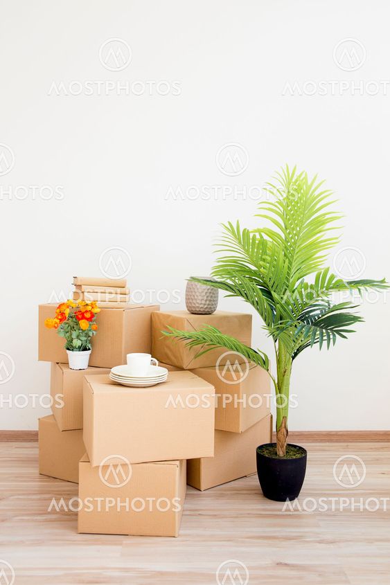 Cardboard boxes - moving to a new house