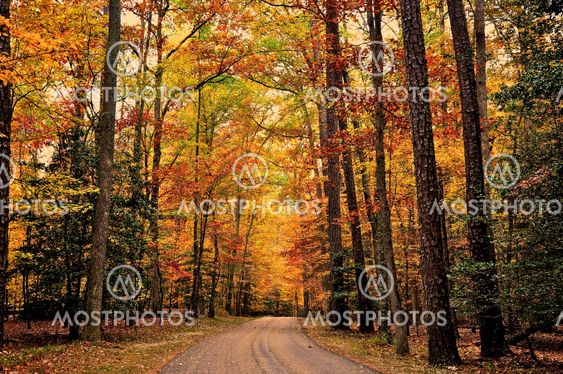 Surrender Road