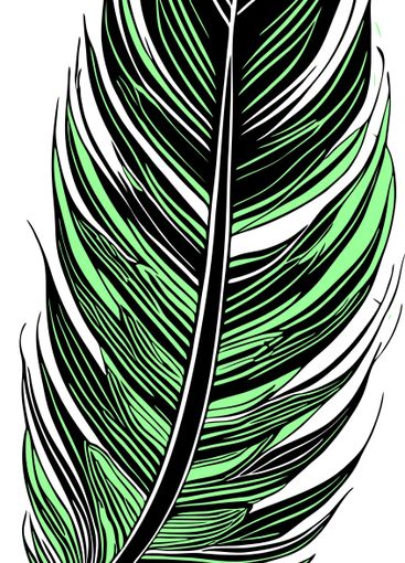 simple graphic drawing black and green bird feather,...