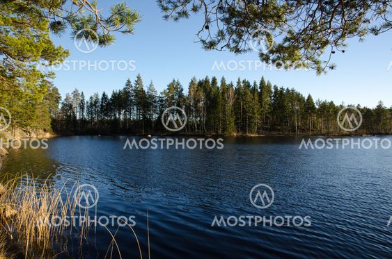 Beautiful view at a small nordic lake
