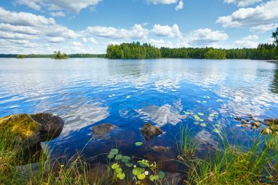 Lake Rutajarvi summer view (Finland).