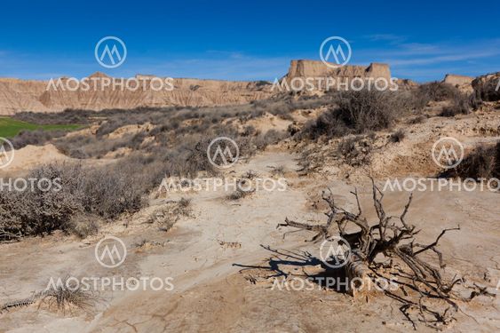 Landscape of Bardenas reales, Navarra, Spain