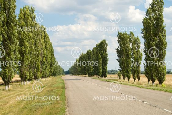road