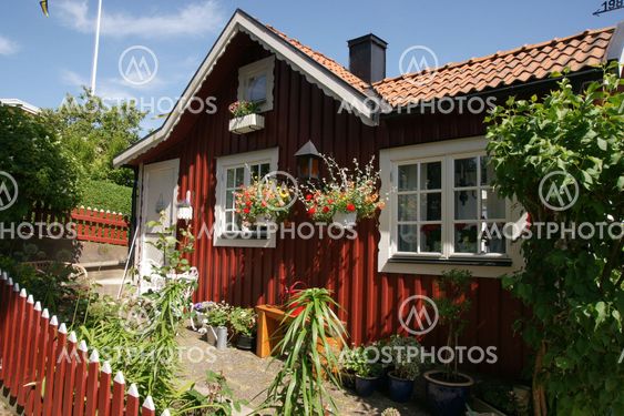 The swedish dream...