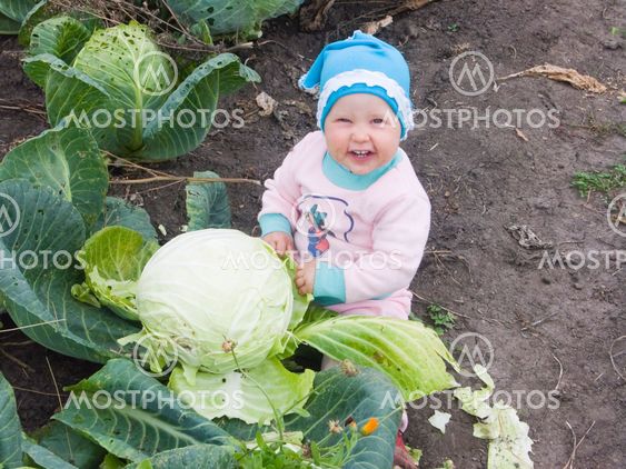 Me have found in cabbage!