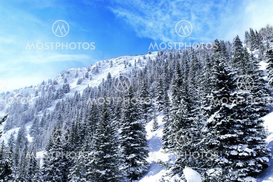Mountain landscape