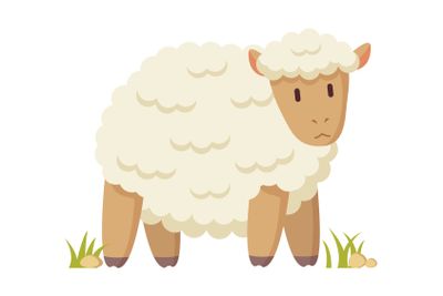 Domestic Curly White Cheep Cartoon Style Poster