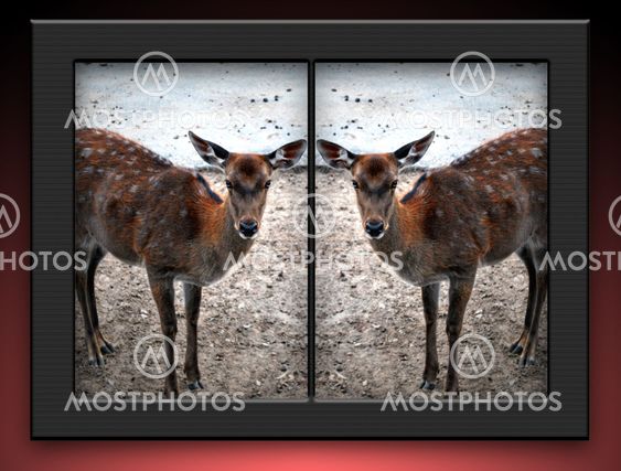 Stereo