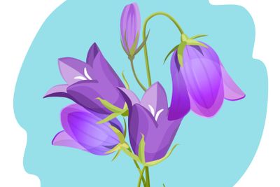 Viola violet flowering plant realistic vector...