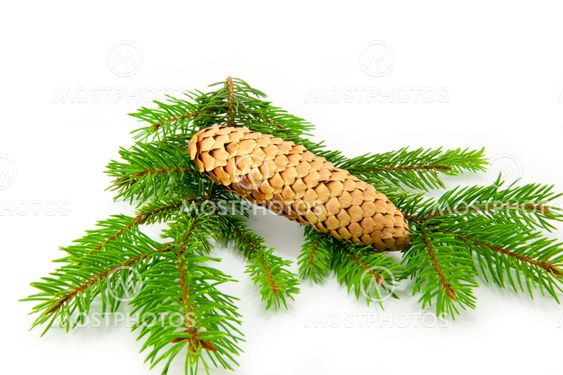 Beautiful Christmas decorations