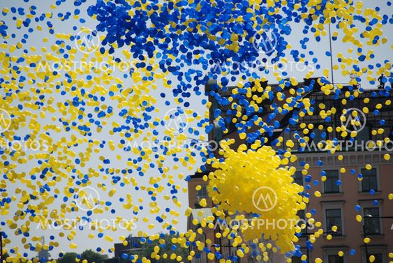 Swedish national day, 6 June 2008