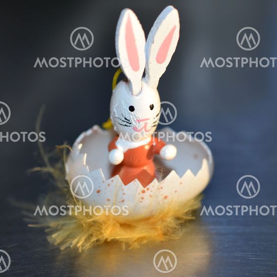 Easter Bunny