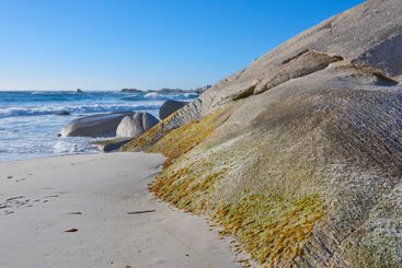 Rocks, sand and beach shore for freedom, holiday trip...