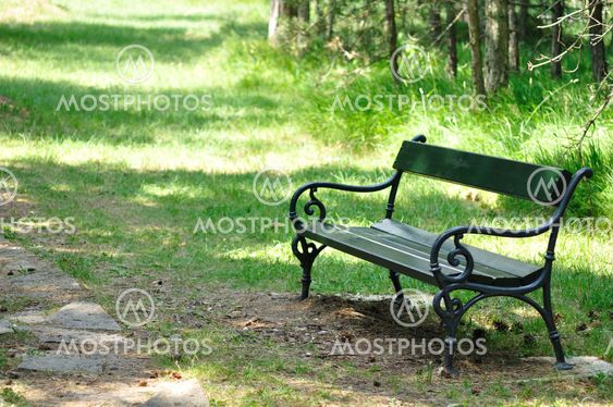 Bench in park