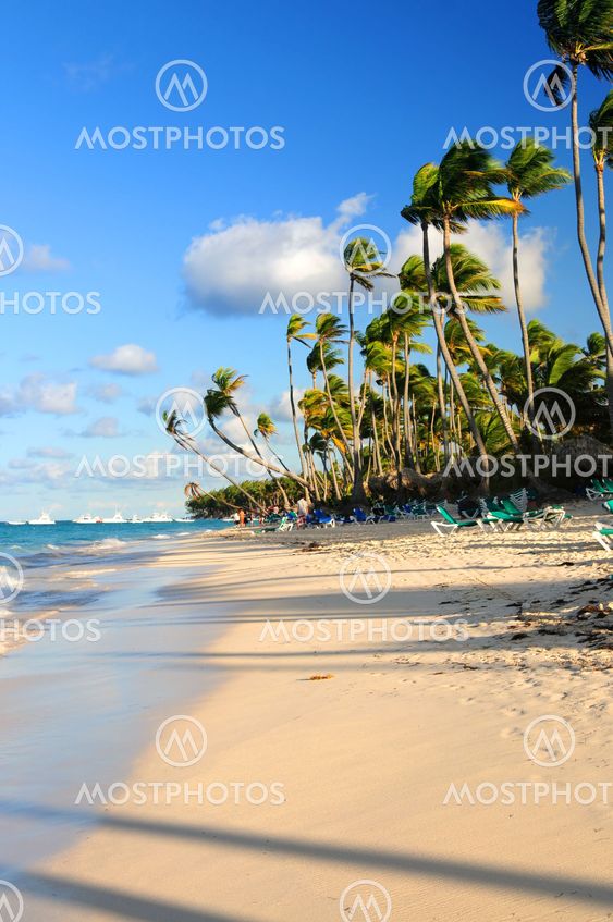 Tropical beach
