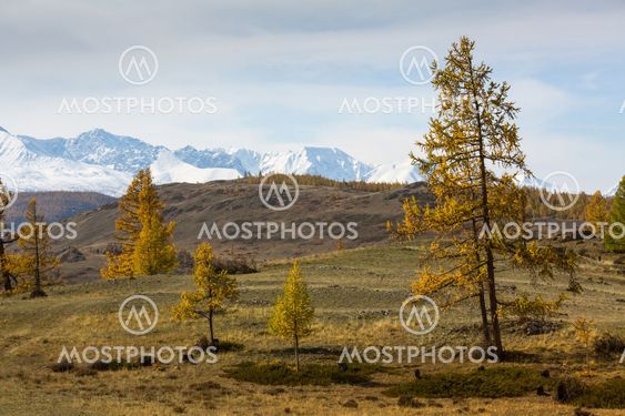 View of the foothills and autumn forest on a background...
