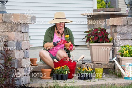 Senior lady potting up plants in flowerpots
