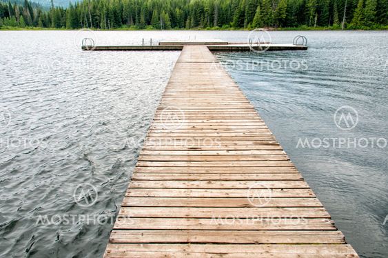 Empty Swimming Island