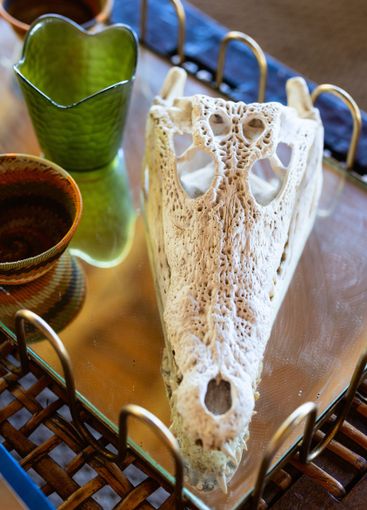 Crocodile skull with decorative bowls.