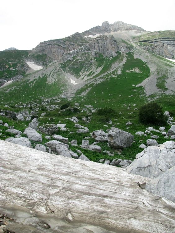 Berg