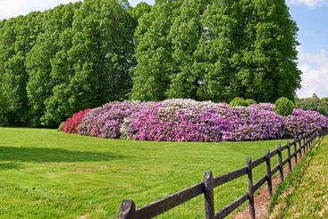 Garden, flower bed or grass field with fence in nature...