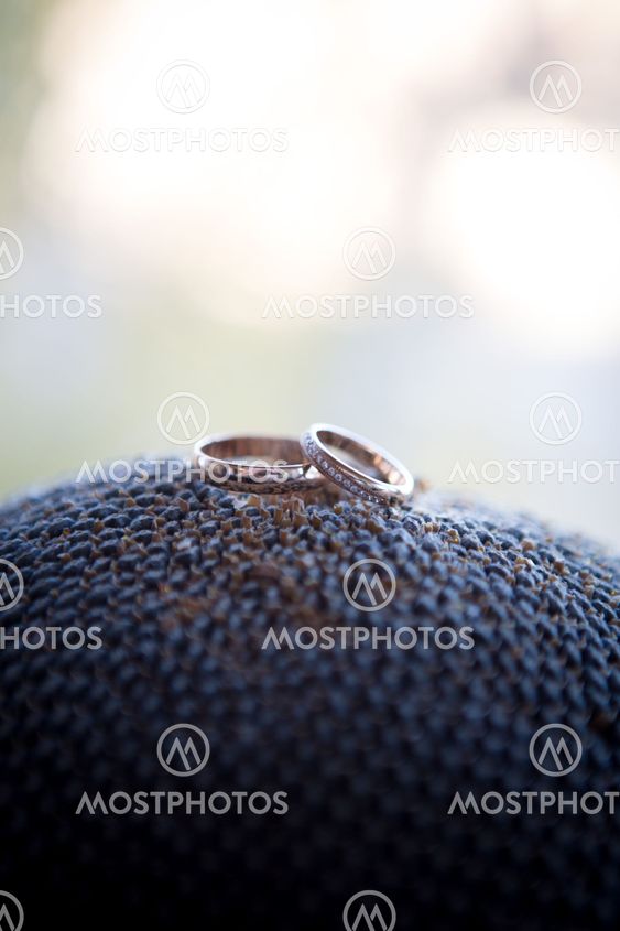 two gold wedding rings in sunflower